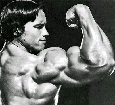 Arnold Schwarzenegger Workout Book. Workouts To Get Ripped,