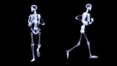 blog skeleton